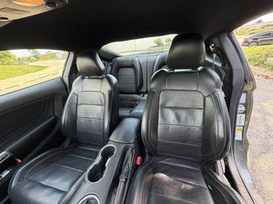2019 Ford Mustang photo 12