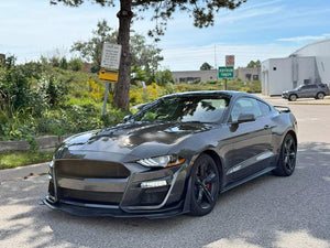 2019 Ford Mustang photo 1