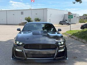 2019 Ford Mustang photo 3