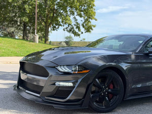 2019 Ford Mustang photo 4