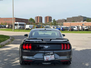 2019 Ford Mustang photo 6